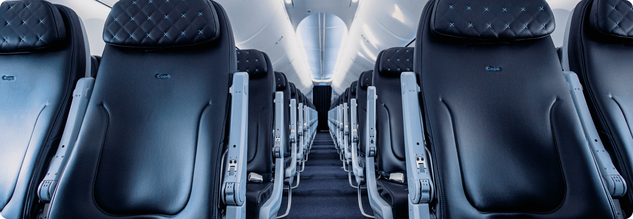 Review: Copa Airlines 737-800 Business Class - Live and Let's Fly