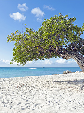 Aruba (AUA)