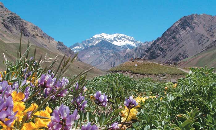 Parque Provincial Aconcagua