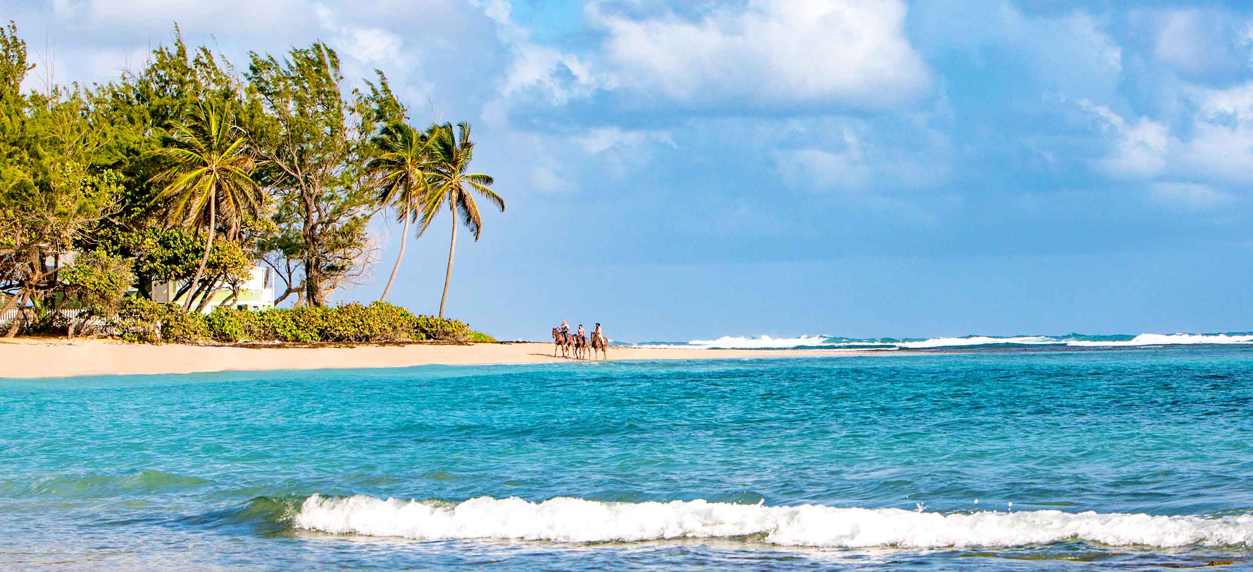 Discover Barbados with Copa Airlines