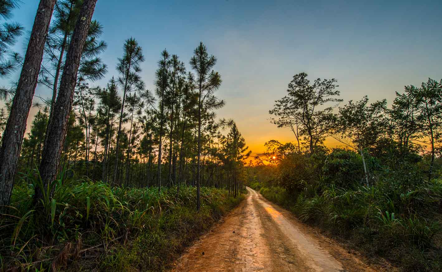 Adentrarse en su naturaleza