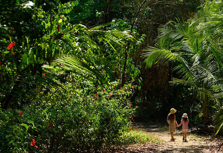 Costa Rica é um país para deixar o estresse para trás e entrar em contato com a mãe terra.