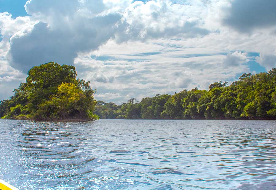 A natureza do Suriname sem dúvida é o maior atrativo do país