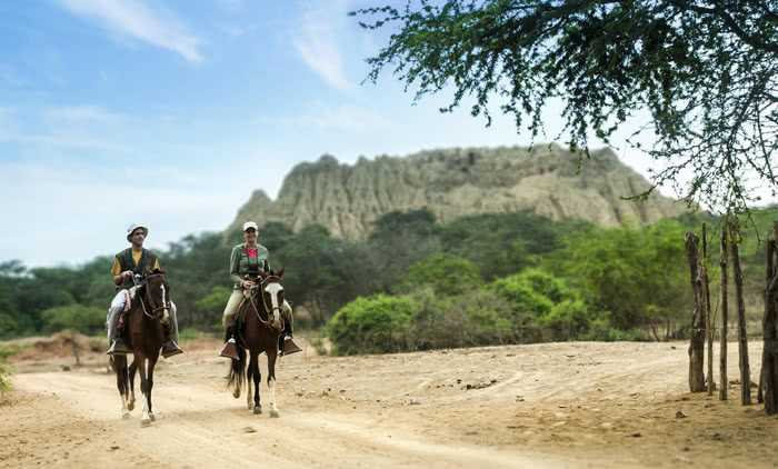 Horse riding at Bosque de Pomac