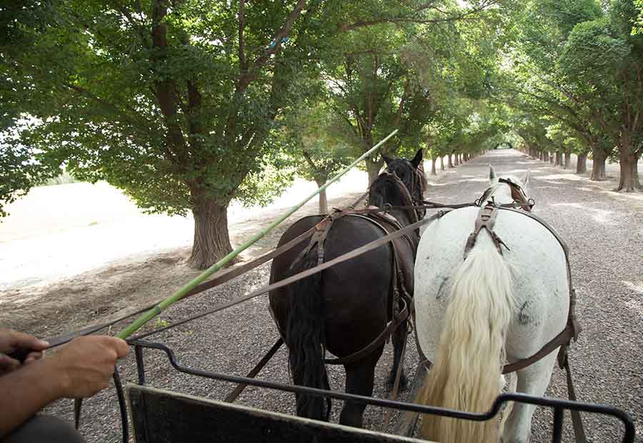 Getting around Mendoza