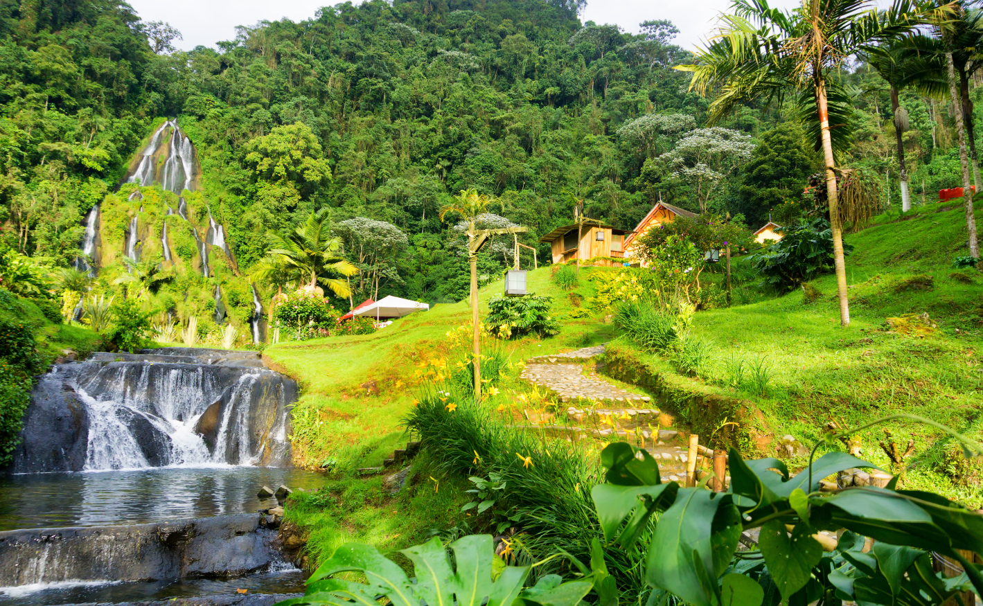 Pereira: Paisajes Cafeteros y Hospitalidad Cafetera